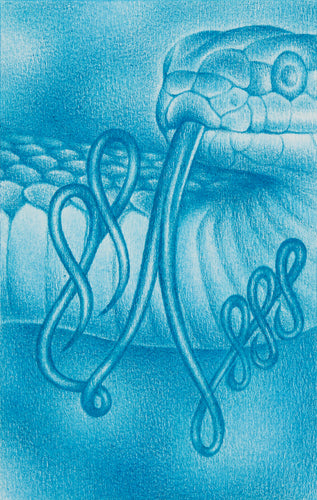 Signe Ralkov, Drawing