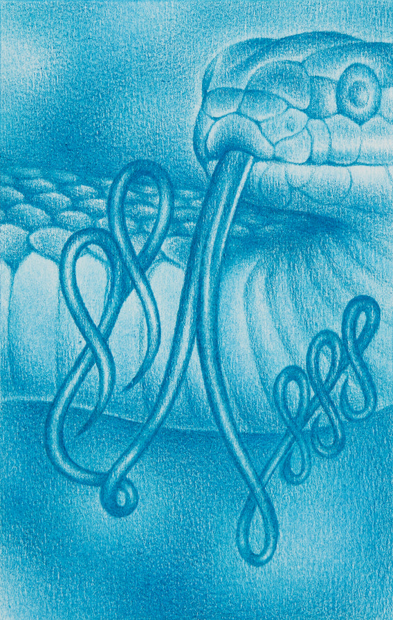 Signe Ralkov, Drawing